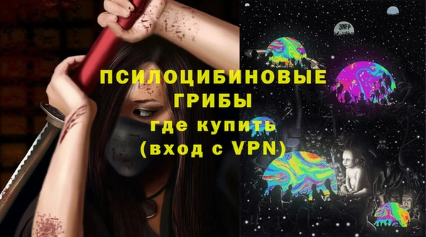 MDMA Няндома