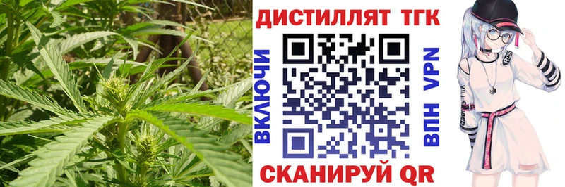 Купить где  Новочеркасск  Дистиллят ТГК THC oil 