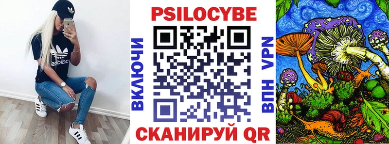 Купить закладки  Новочеркасск  Галлюциногенные грибы прущие грибы 